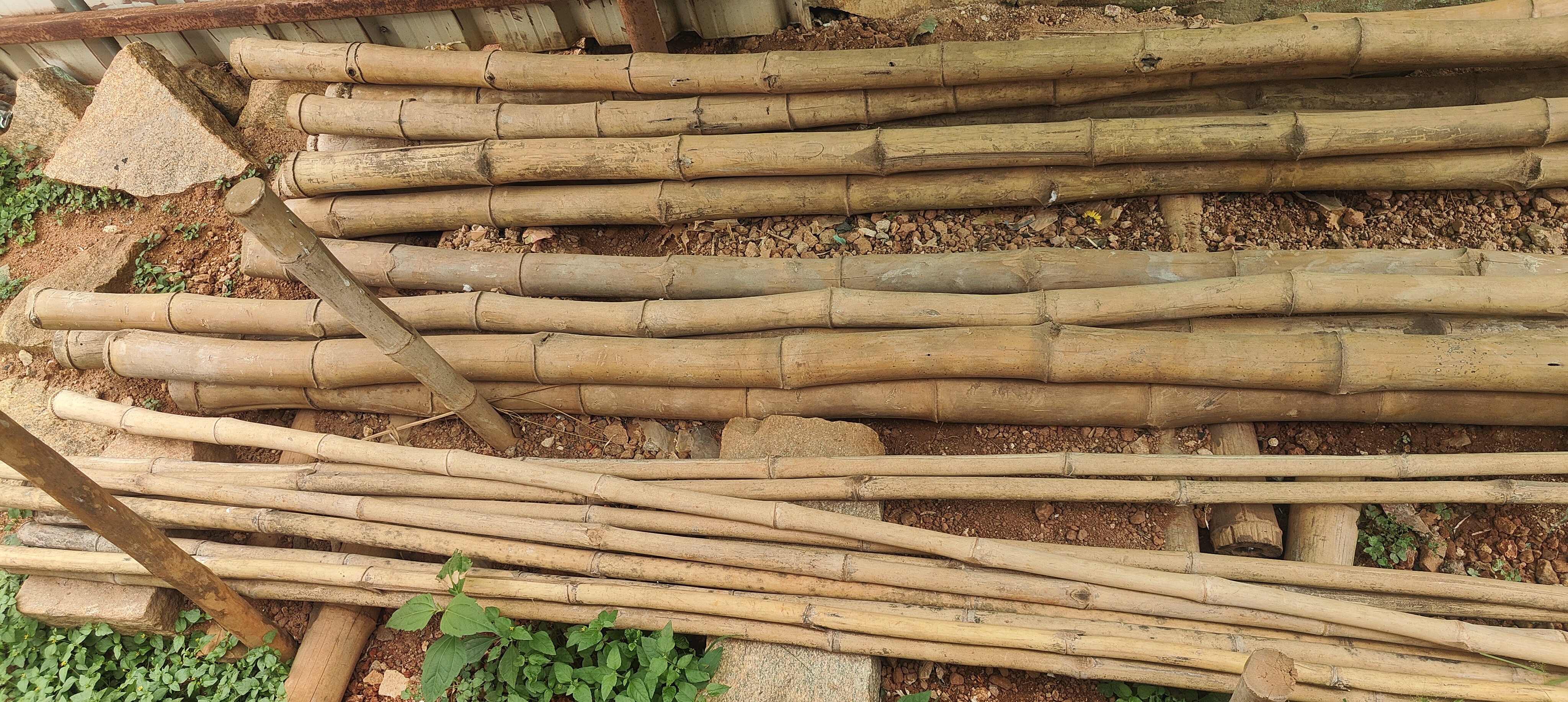 Bamboo Poles, workshop view 1
